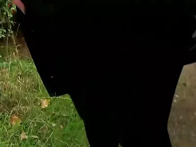দুষ্টু বাংলা সেক্সি ভিডিও এইচডি বিড়ালছানা তার বয়ফ্রেন্ডকে চুষতে ভালবাসে